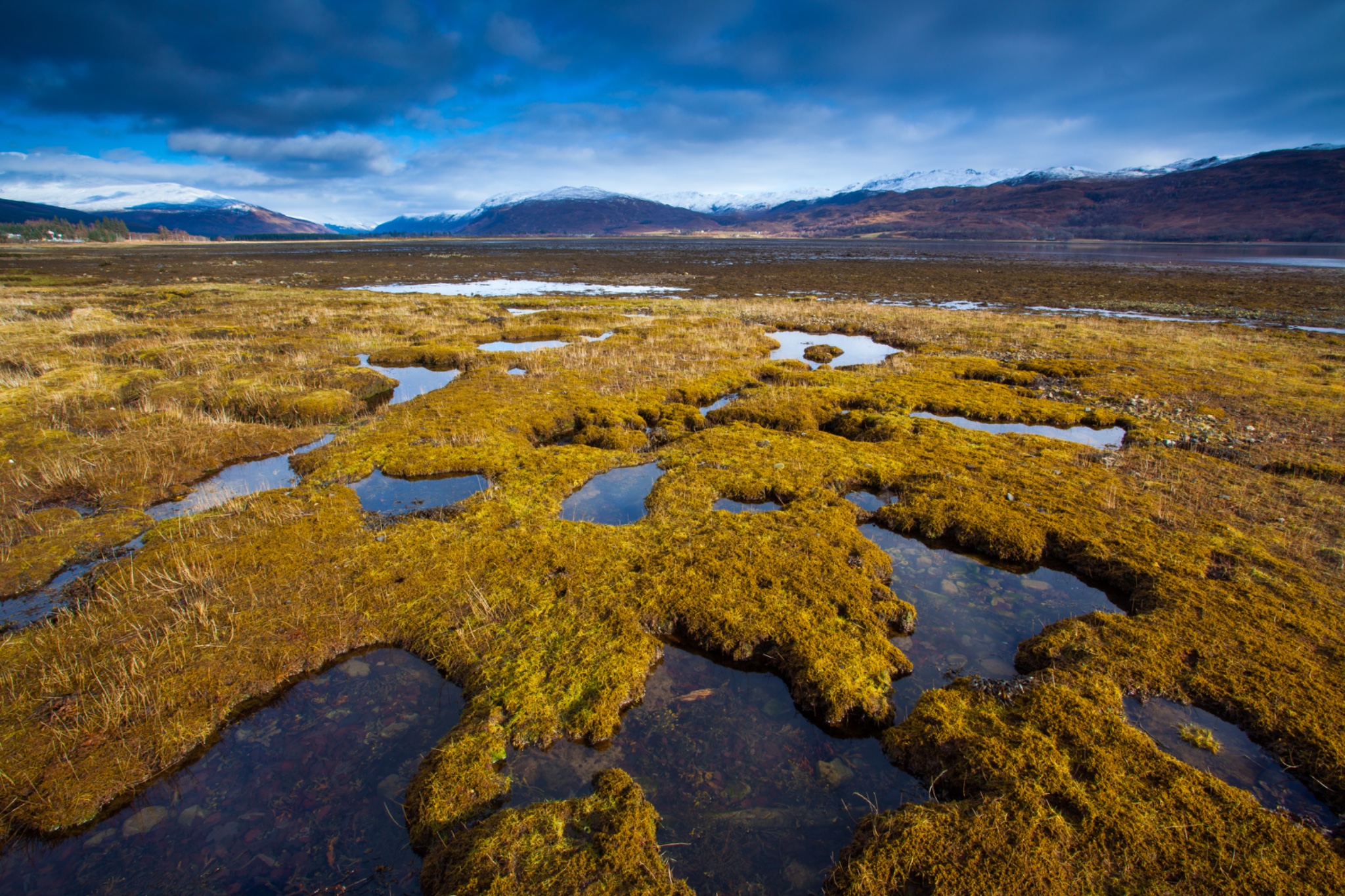 Scotland, Scottish Highlands, Glen Carron.